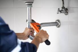 Best Commercial Plumbing Services  in Picture Rocks, AZ